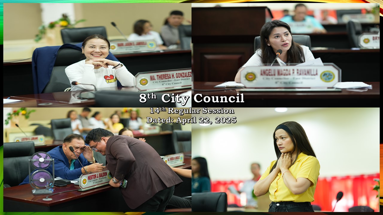 CouncilImage
