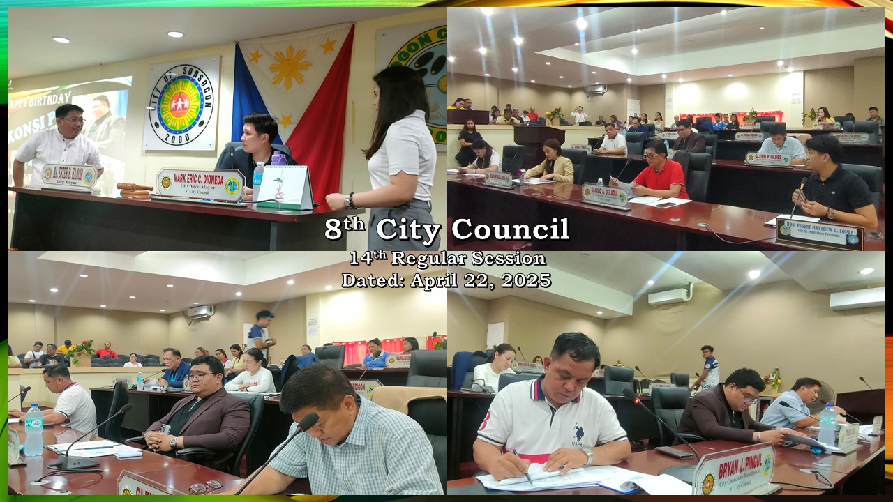 CouncilImage