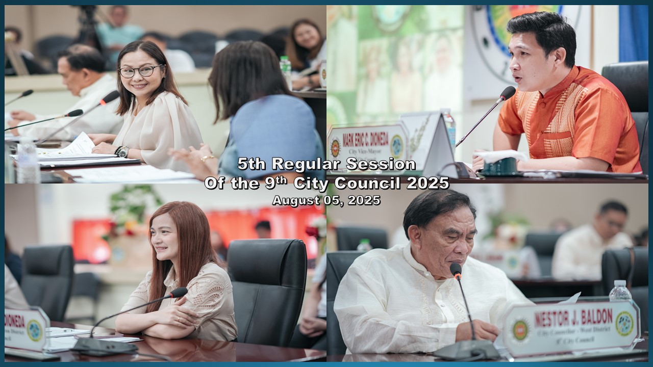 CouncilImage