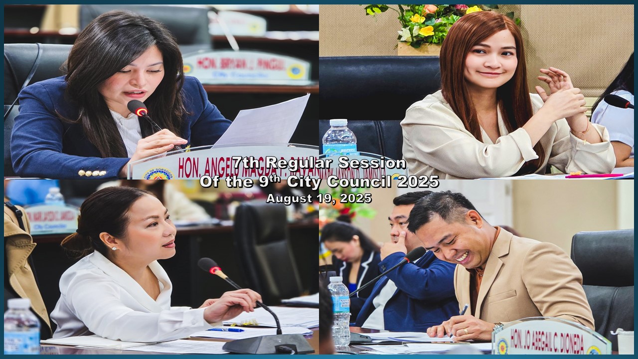 CouncilImage